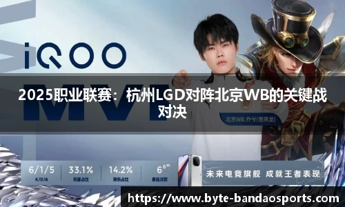 2025职业联赛：杭州LGD对阵北京WB的关键战对决